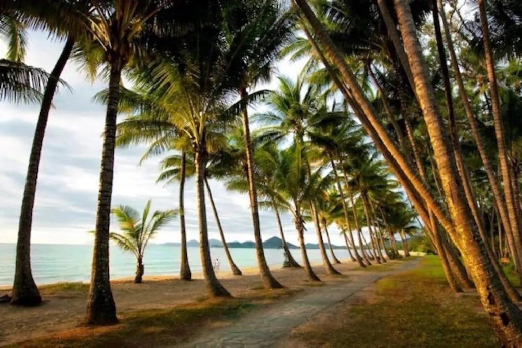 Palm Cove Studio Apartments Hotel Palm Cove